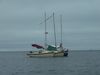 cottage_pics-tree_075.jpg