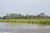Filename=2007_08_12_0005_small.jpeg
Filesize=114KB
Dimensions=900x602
Date added=Aug 13, 2007 2007_08_12_0005_small.jpeg