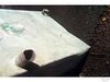 Filename=Tank3.jpg
Filesize=24KB
Dimensions=400x300
Date added=Mar 27, 2006 Tank3.jpg